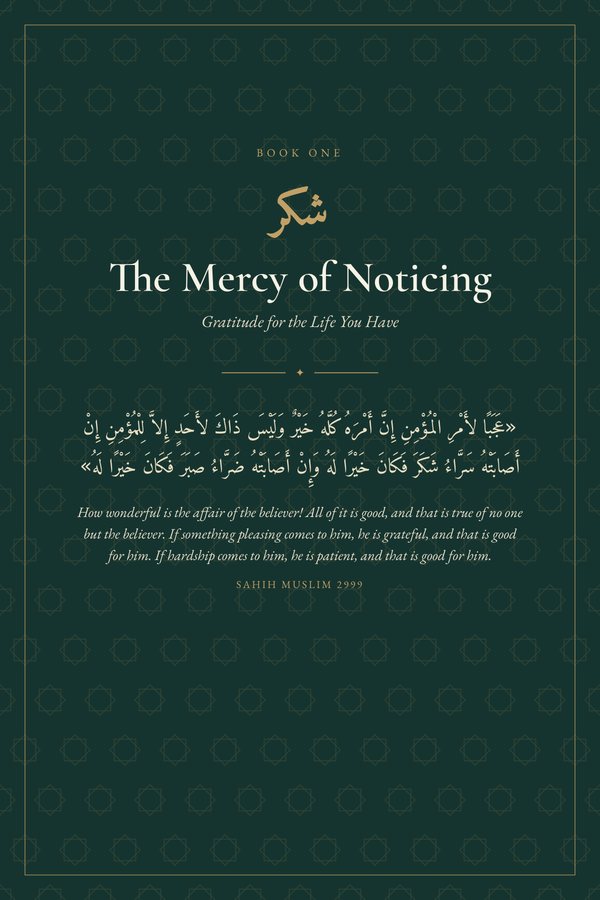 Cover of The Mercy of Noticing, book one